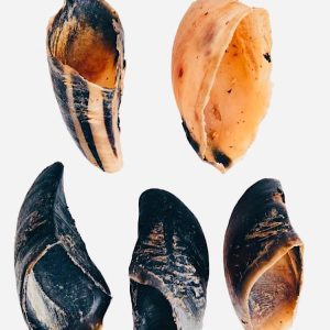 Drool Cow Hooves (Single)