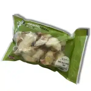 Southcliffe Day Old Chicks 1KG
