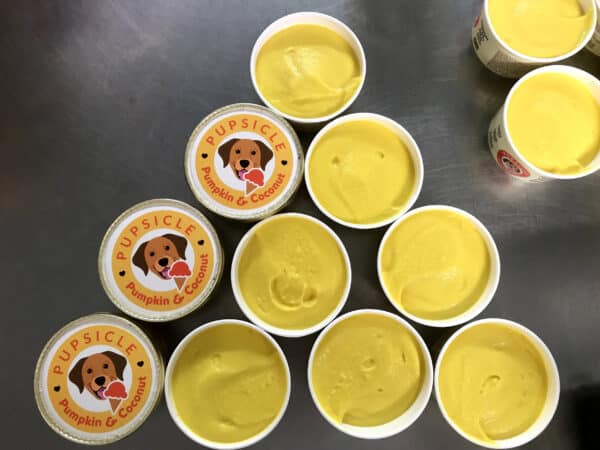 Pupsicle Natural Iced Treats 100ml
