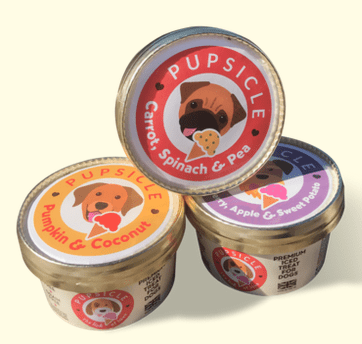 PUPSICLE (Natural Iced Treats) 100ml Tub Raw Dog Food Company Ltd
