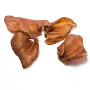 DroolTreatsPigsEar