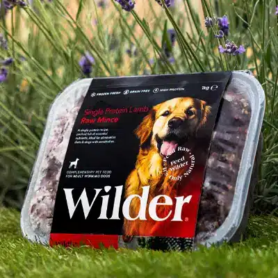 Wilder Single Protein Lamb